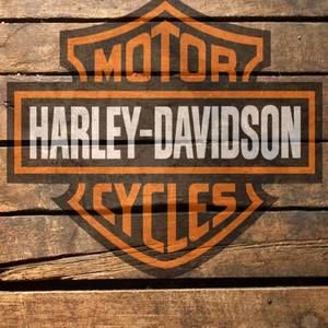 Meet your Posher, Dan